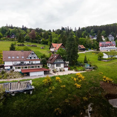 Apartament Startplatz Sasbachwalden